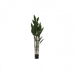 Decorative Plant DKD Home...