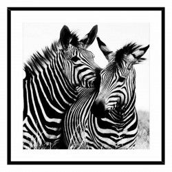 Painting Zebra Crystal (2 x...