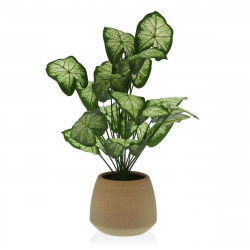 Decorative Plant Versa 15 x...