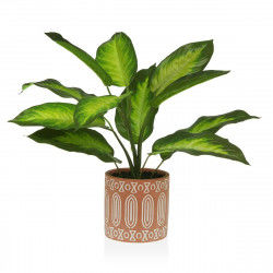 Decorative Plant Versa 15 x...