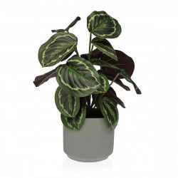 Decorative Plant Versa 15 x...