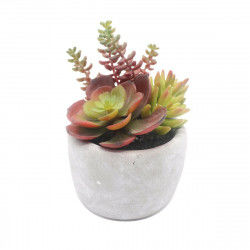 Decorative Plant Versa...