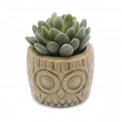 Decorative Plant Versa...