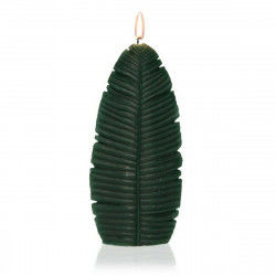 Candle Versa Rattan...