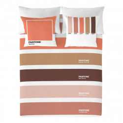 Nordic tok Wide C Pantone