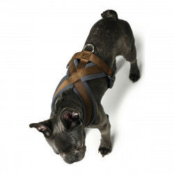 Hundegeschirr Hunter London...