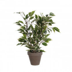 Decorative Plant Mica...