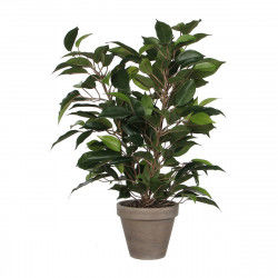 Decorative Plant Mica...