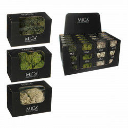 Decorative Plant Mica...