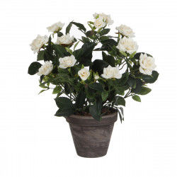 Decorative Plant Mica...