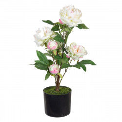 Decorative Plant 34 x 30 x...