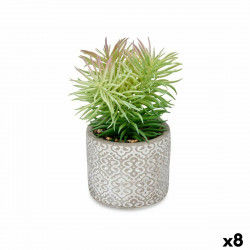 Decorative Plant Succulent...