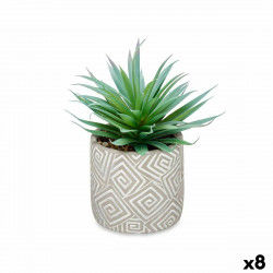 Decorative Plant Succulent...