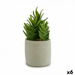 Decorative Plant Succulent...