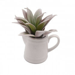 Decorative Plant Versa...