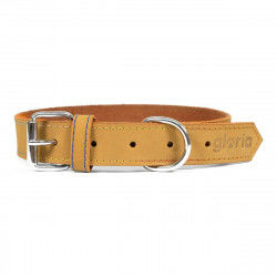 Dog collar Gloria Oasis...