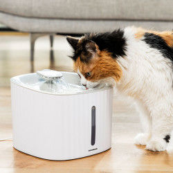 Pet Water Fountain Drinkatt...