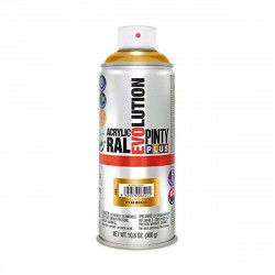 Spray paint Pintyplus...