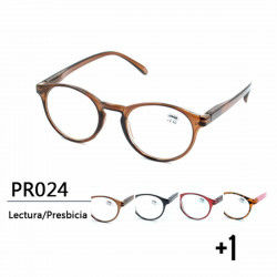 Ochelari Comfe PR024 +1.0...