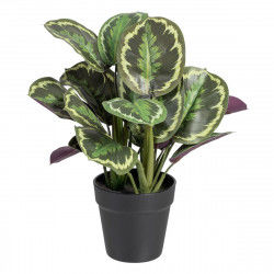 Decorative Plant 37 x 37 x...