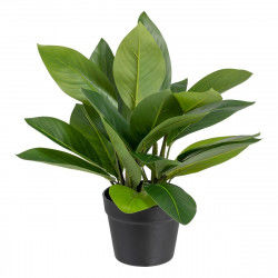 Decorative Plant 50 x 45 x...