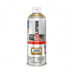 Spray paint Pintyplus...