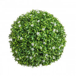 Decorative Plant   Ball...