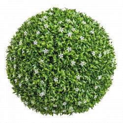 Decorative Plant   Ball...