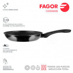 Pan FAGOR Indutherm Black...