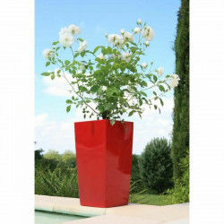 Plant pot Riviera Red...